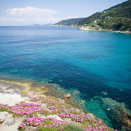 Hotel Gallo Nero SantʼAndrea エクステリア 写真