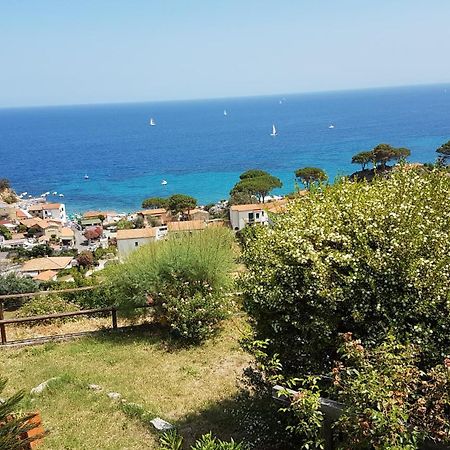 Hotel Gallo Nero SantʼAndrea エクステリア 写真