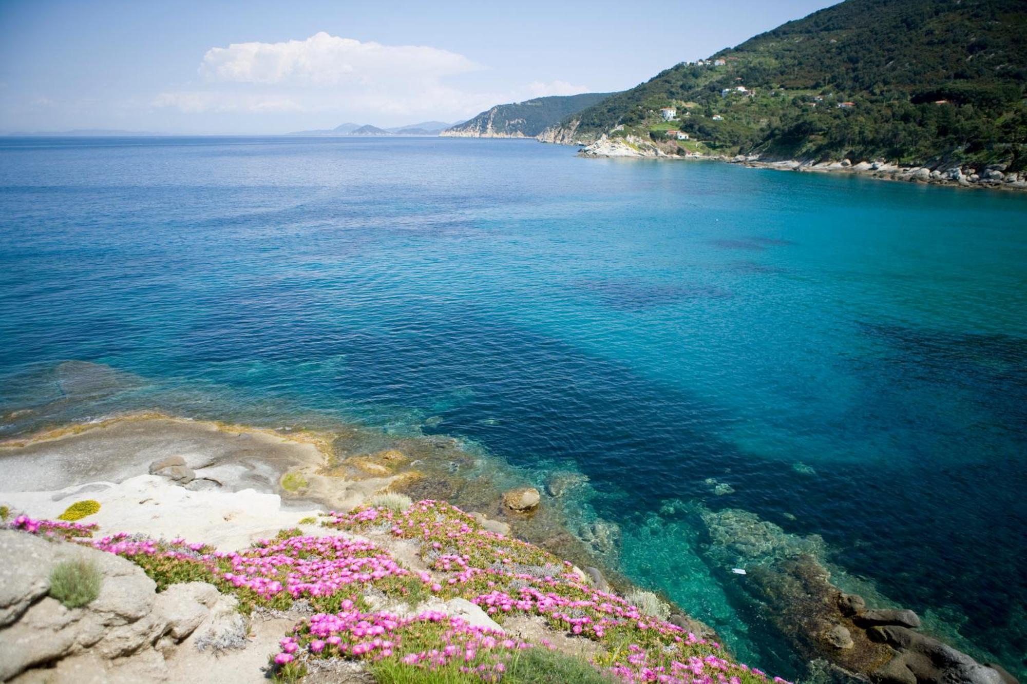 Hotel Gallo Nero SantʼAndrea エクステリア 写真