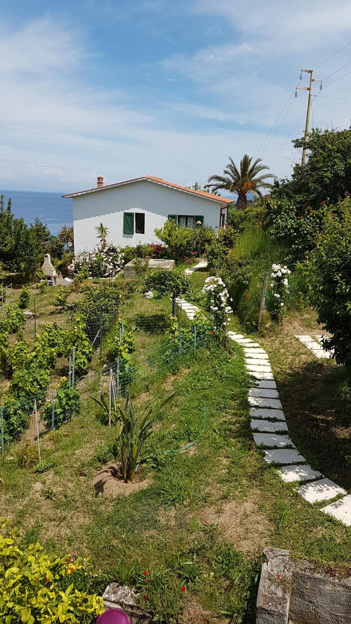 Hotel Gallo Nero SantʼAndrea エクステリア 写真